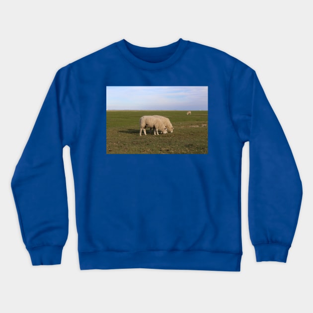 Grasende Schafe auf Nordseeinsel Pellworm Crewneck Sweatshirt by Christine aka stine1